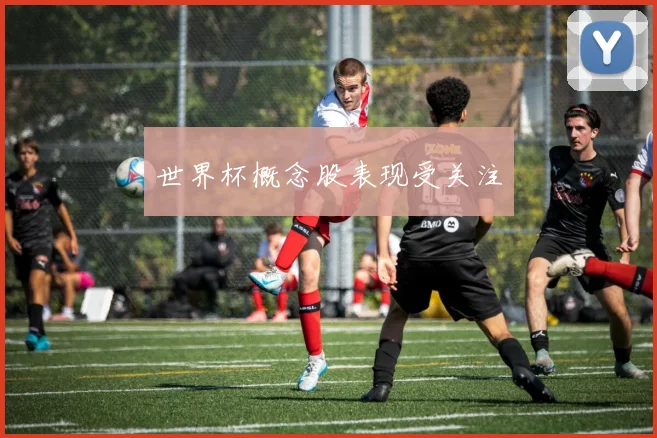 世界杯概念股表现受关注
